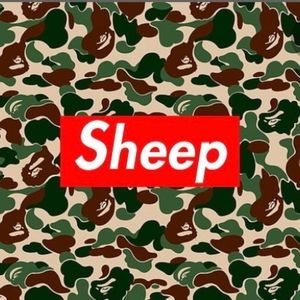 Meet your Posher, Ethan